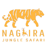 nagzira jungle safari